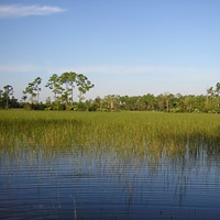 1 Day Miami and Everglades Miami Everglades 1 Day