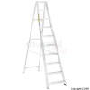 Promaster Builders Step 10 Tread Stepladder