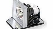 Replacement Projector Lamp