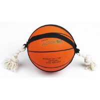 Ball BaSticksetball