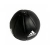 Leather Medicine Ball