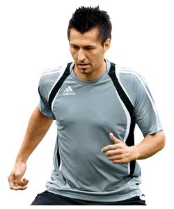 Tiro Training Jersey Silver - Large