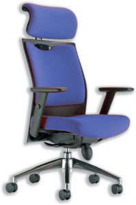 Adroit Rossillion Plus Task Armchair Headrest