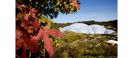 Adult Entrance to The Eden Project