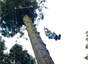 high ropes adventure course