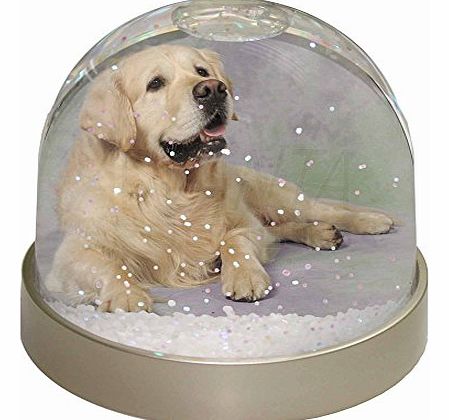 Advanta - Snow Globes Gold Golden Retriever Snow Dome Globe Waterball Gift