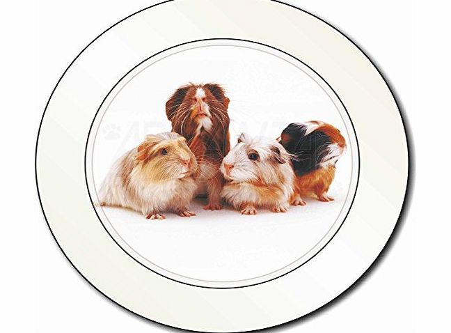 Advanta - Tax Disc Holders Guinea Pigs Car Tax Disc Holder New Animal, Ref:GIN-1T