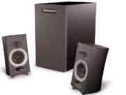 CS21 2.1 Speaker system (110W rms)