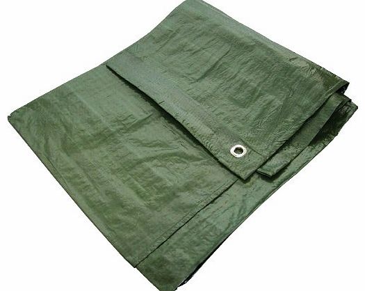 AM TECH QUALITY TOOLS AM TECH GREEN TARPAULIN 6 X 9