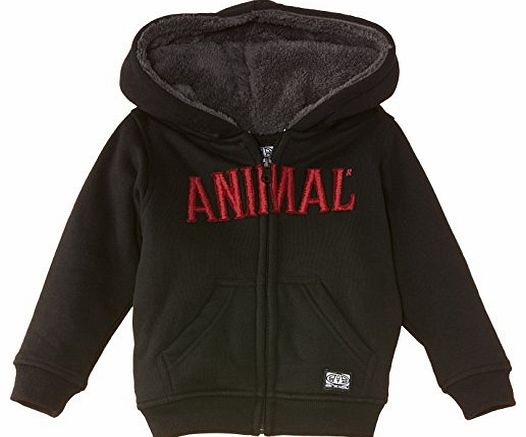 Boys Sharking Hoodie, Black, 13 Years (Manufacturer Size:Large)