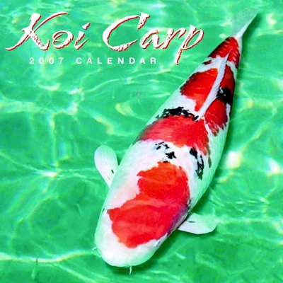 Animals Koi Carp 2006 Calendar