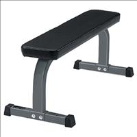 Life Fitness Flat Bench