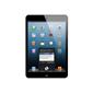 iPad mini with Wi-Fi + Cellular 16GB -