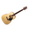 Ashton Music D27 Dreadnought Acoustic Guitar