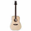 Ashton Music D40S Solid Top Acoustic Guitar