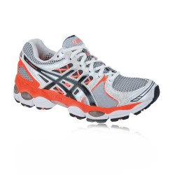 Asics Lady GEL-NIMBUS 14 Running Shoes ASI2185