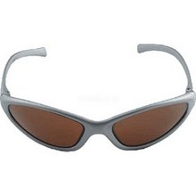 Aspex Flash Sunglass