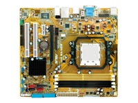 ASUS M2N-VM DVI Graphics Card