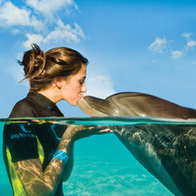 ATLANTIS Dolphin Encounter at Dolphin Bay - High