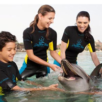 Atlantis Dolphin Encounter - Non Atlantis Guest