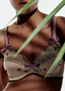 Fruit Defendu full cup bra