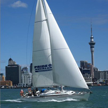 Auckland Harbour Sailing Cruise - Child with Lunch