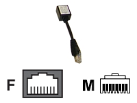 AVOCENT Cyclades - Crossover cable - RJ-45 (M) - RJ-45 (M)