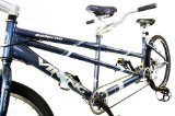 Avocet 2008 Viking Salerno Aluminium Mountain Bike Tandem