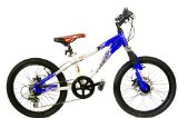 Coyote Ratfink Aluminium Boys Double Disc Mountain Bike