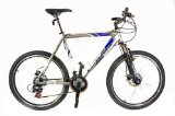 Reflex Karakum 19" Disc Brakes Front Susp Mountain Bike