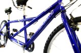 Avocet Sports 2008 Reflex Timberline Adult Tandem Mountain Bike