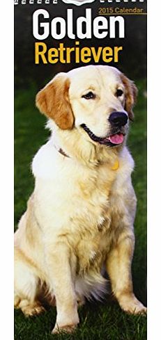 Avonside Publishing Golden Retriever (Slim) 2015 (Slim Standard)