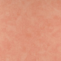 Colours Vinyl Orange Wallcovering 10m x 52cm