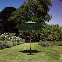 Medium Hardwood Parasol Green