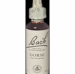 Bach Flower Gorse Flower Remedy - 20ml 089825