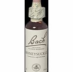 Bach Flower Honeysuckle Flower Remedy - 20ml