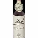 Bach Flower Mustard Flower Remedy - 20ml 089833