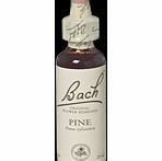 Bach Flower Pine Flower Remedy - 20ml 089836