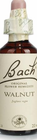 Bach Walnut