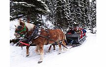 Banff Sleigh Ride - Child