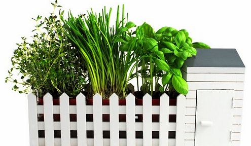 Indoor Allotment Gift Set