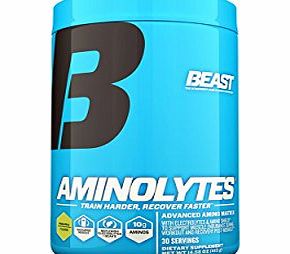 Beast Sports 413g Pineapple Aminolytes