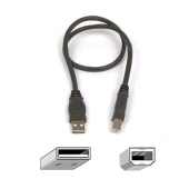 Belkin Belkin Pro Series Hi-Speed USB 2.0 Device Cable 0.5m