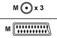 BELKIN RCA/SCART A/V CABLE