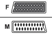 BELKIN SCART GENDER