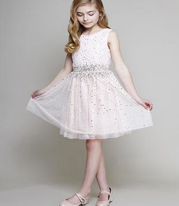 Bhs Girls Girls Blush Pink Iris Scattered Dress,