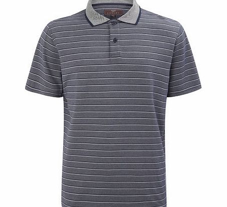 Navy Stripe Polo Shirt, Blue BR52S02FNVY