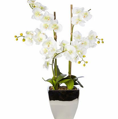 Bhs New large statement orchid, white 30922730306