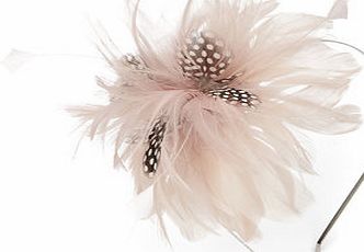 Bhs Pale Pink Spot Feather Spray, pale pink 6610823511