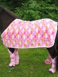 Bijou Show Rug - 43 - Pink Hearts